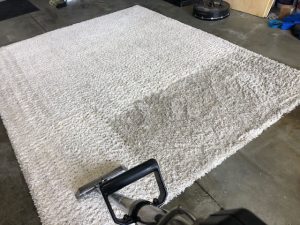 Area Rug Cleaning