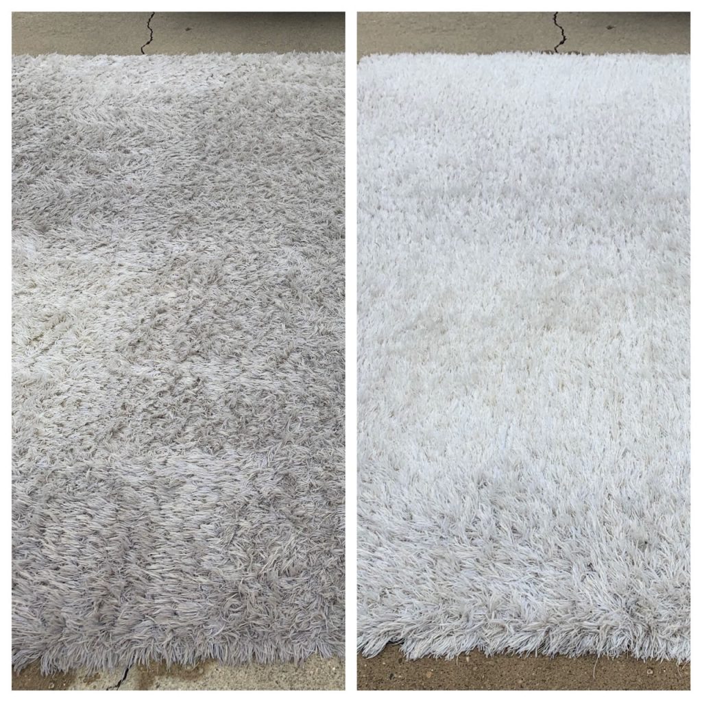 Area Rug Cleaning