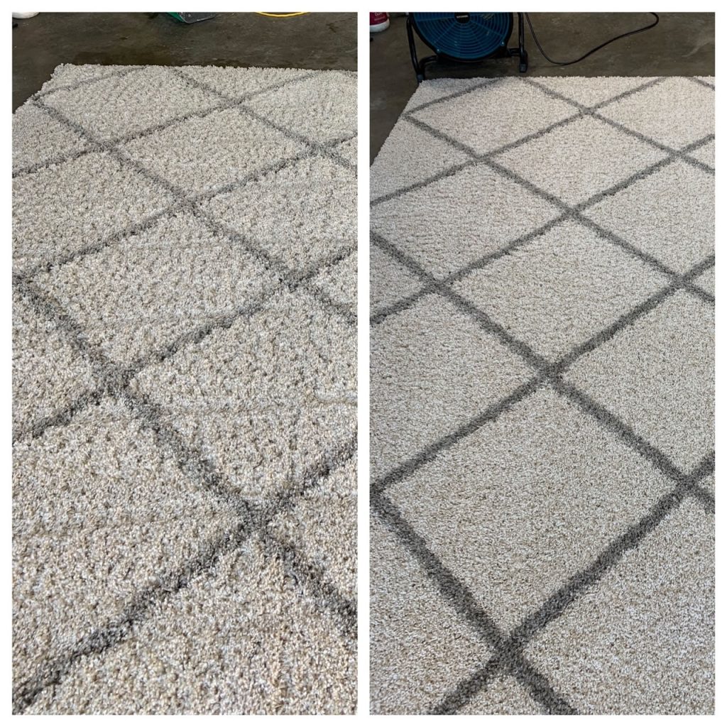 Area Rug Cleaning