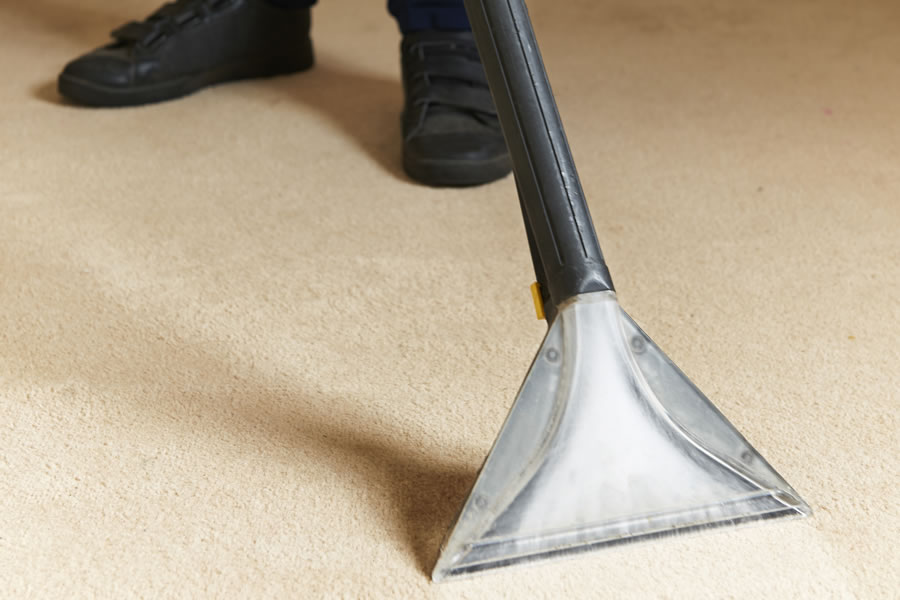 Carpet Cleaner