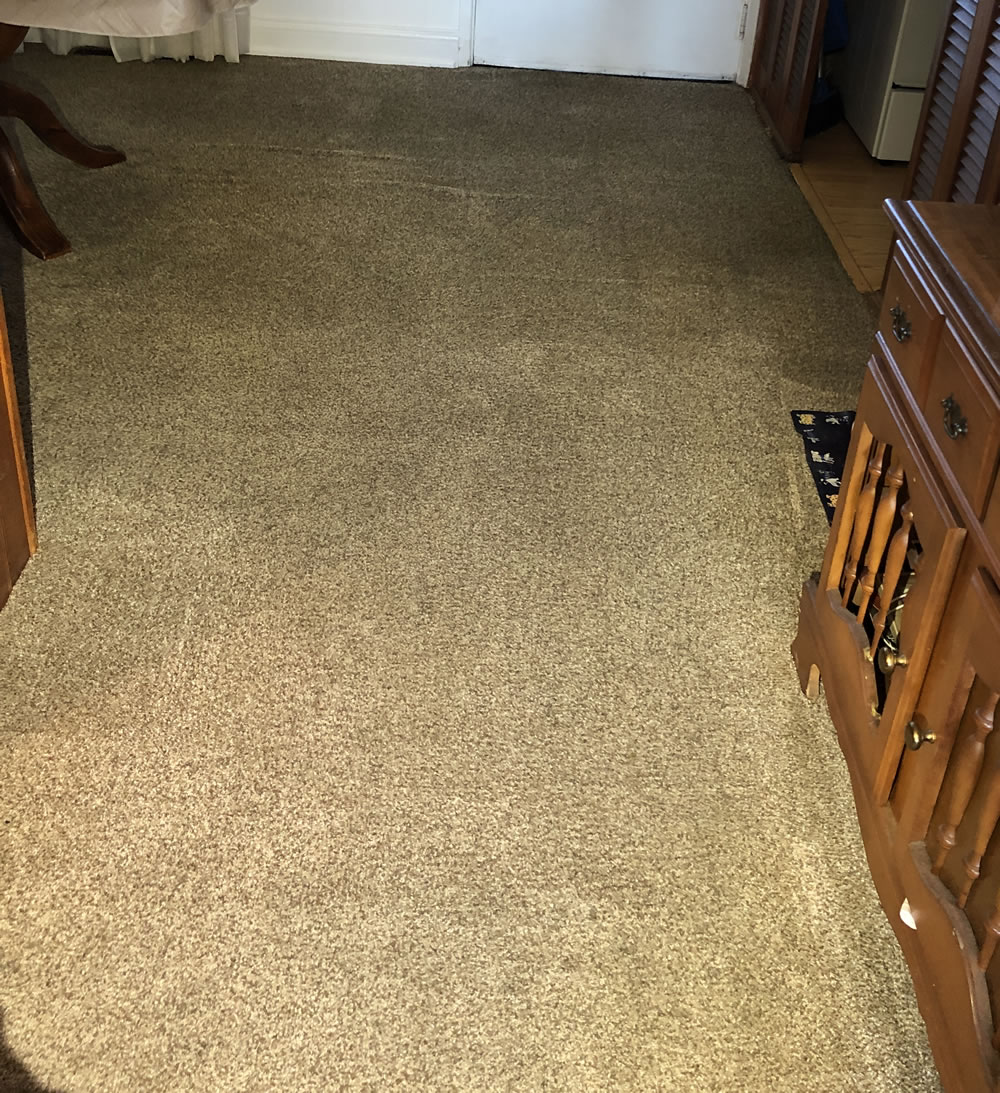 Stain After Cleaned by Sonrise Carpet Care