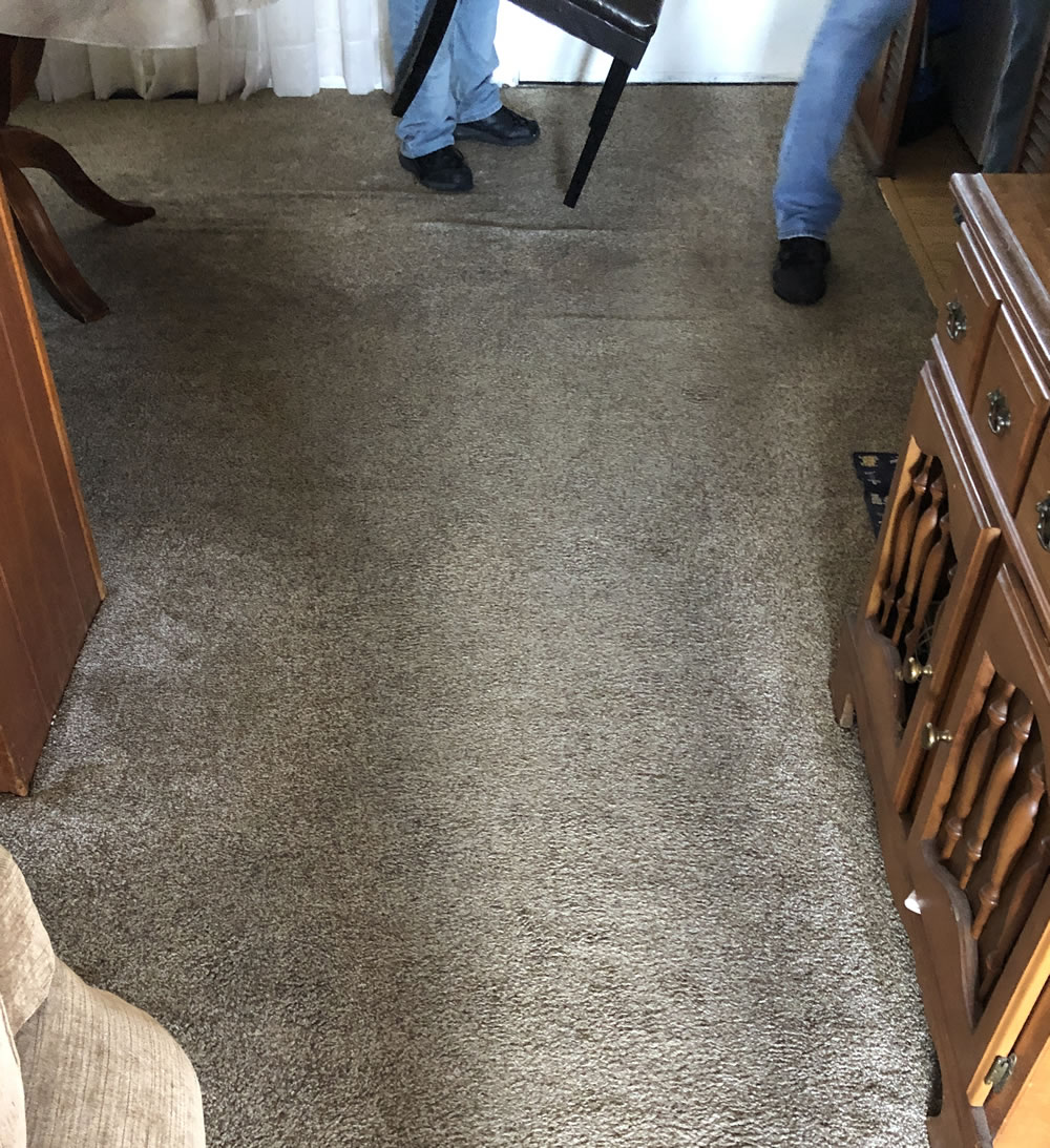 Stain Before Cleaned by Sonrise Carpet Care